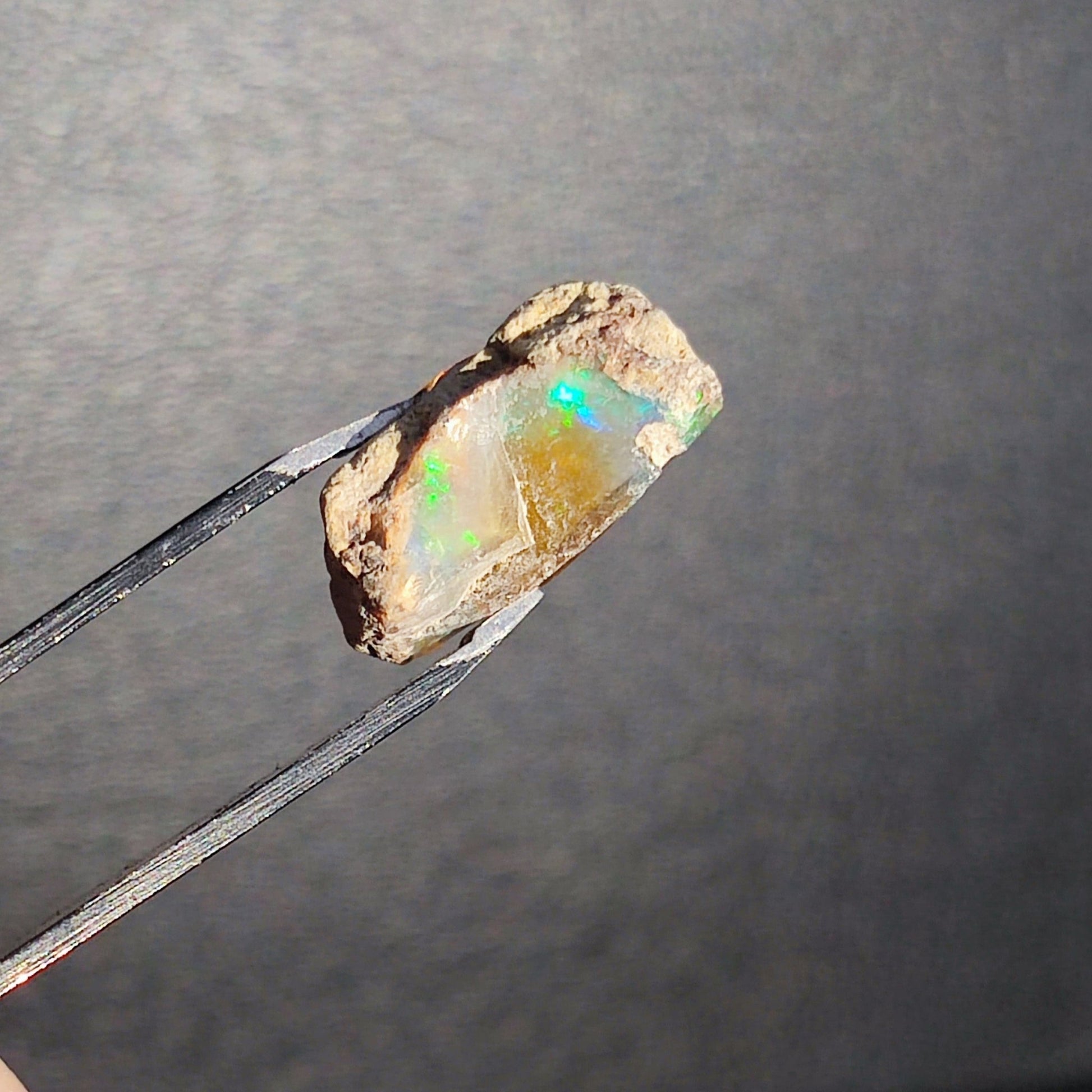 Opal in the rough from Coober Pedy - North Yorkshire Fossils