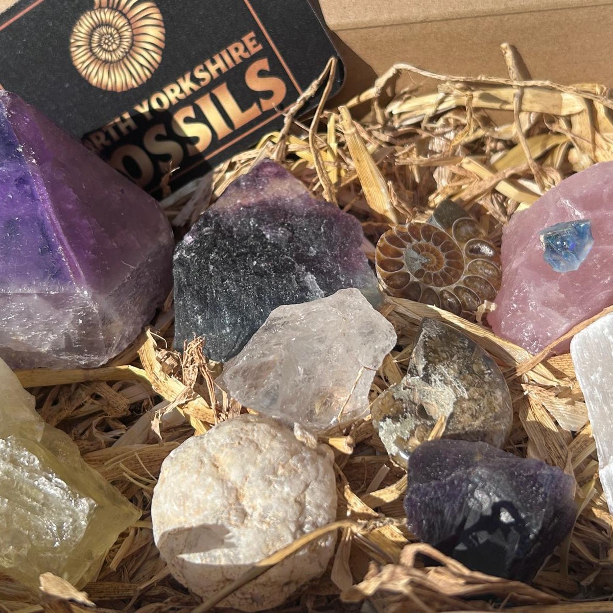 Super deluxe crystal and fossil gift box - North Yorkshire Fossils