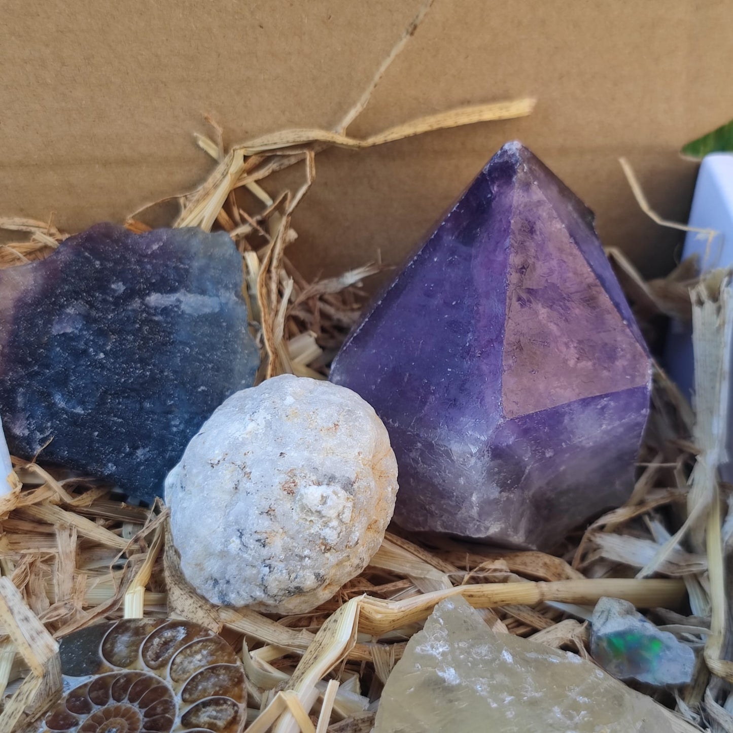Super deluxe crystal and fossil gift box - North Yorkshire Fossils