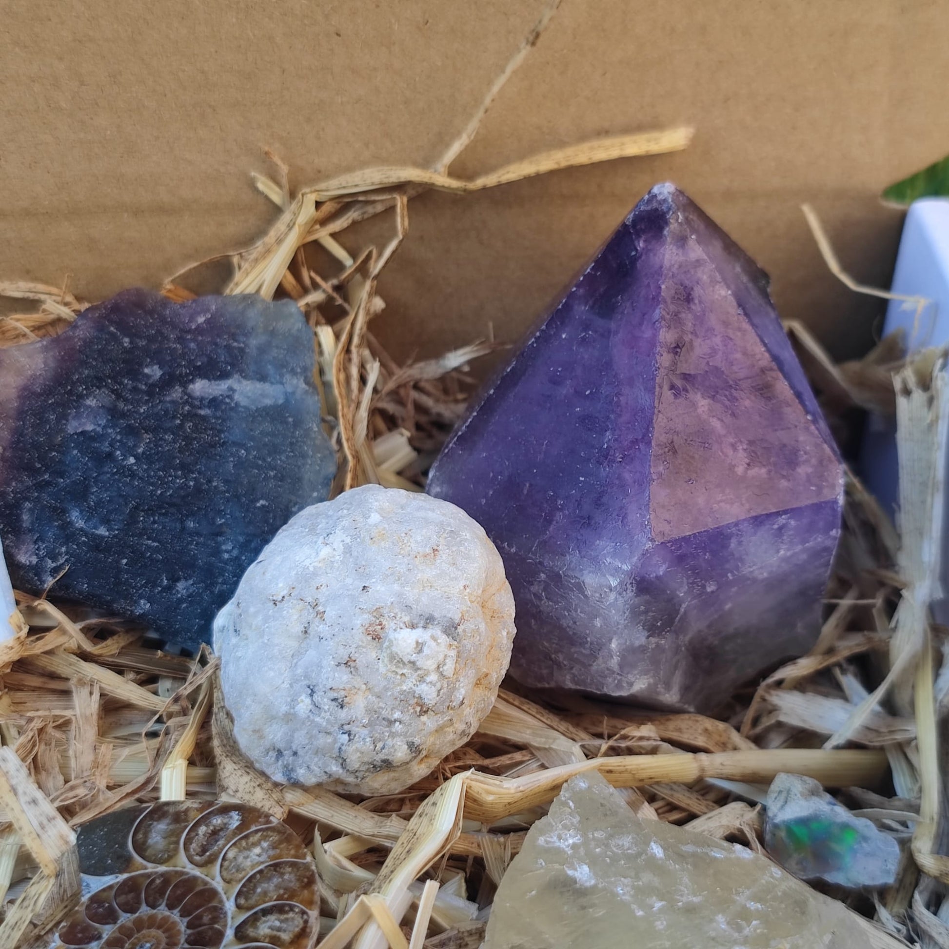 Super deluxe crystal and fossil gift box - North Yorkshire Fossils