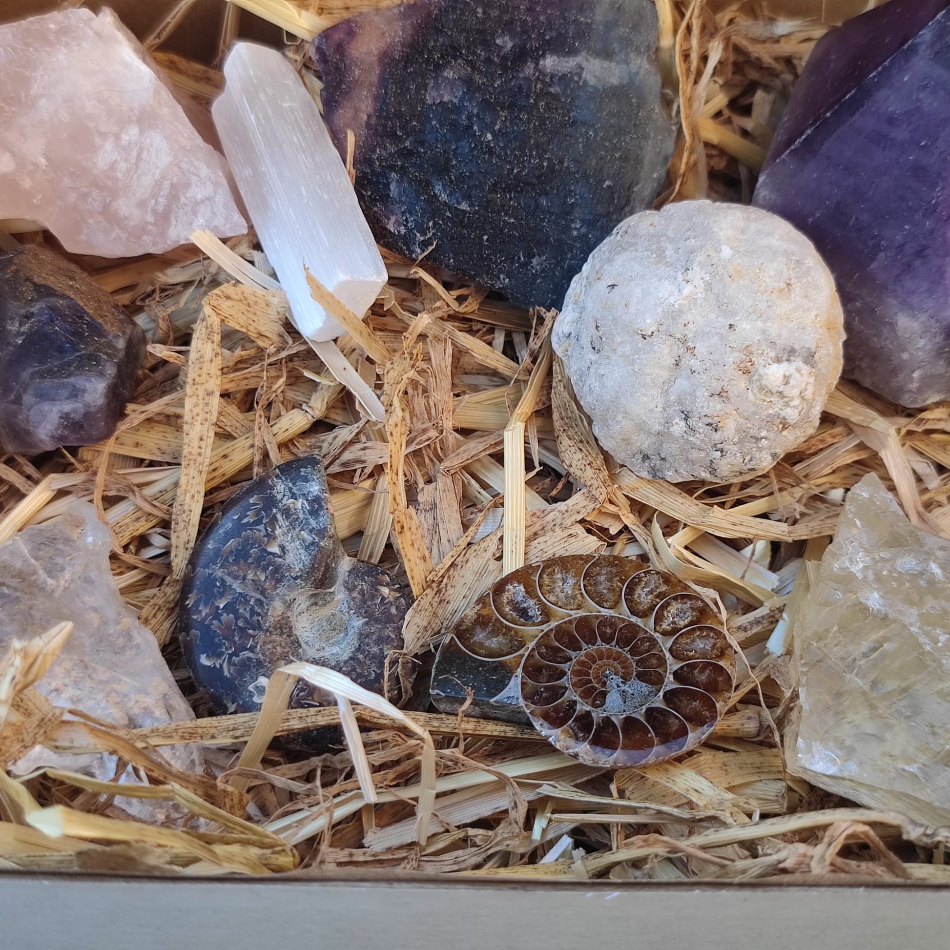 Super deluxe crystal and fossil gift box - North Yorkshire Fossils