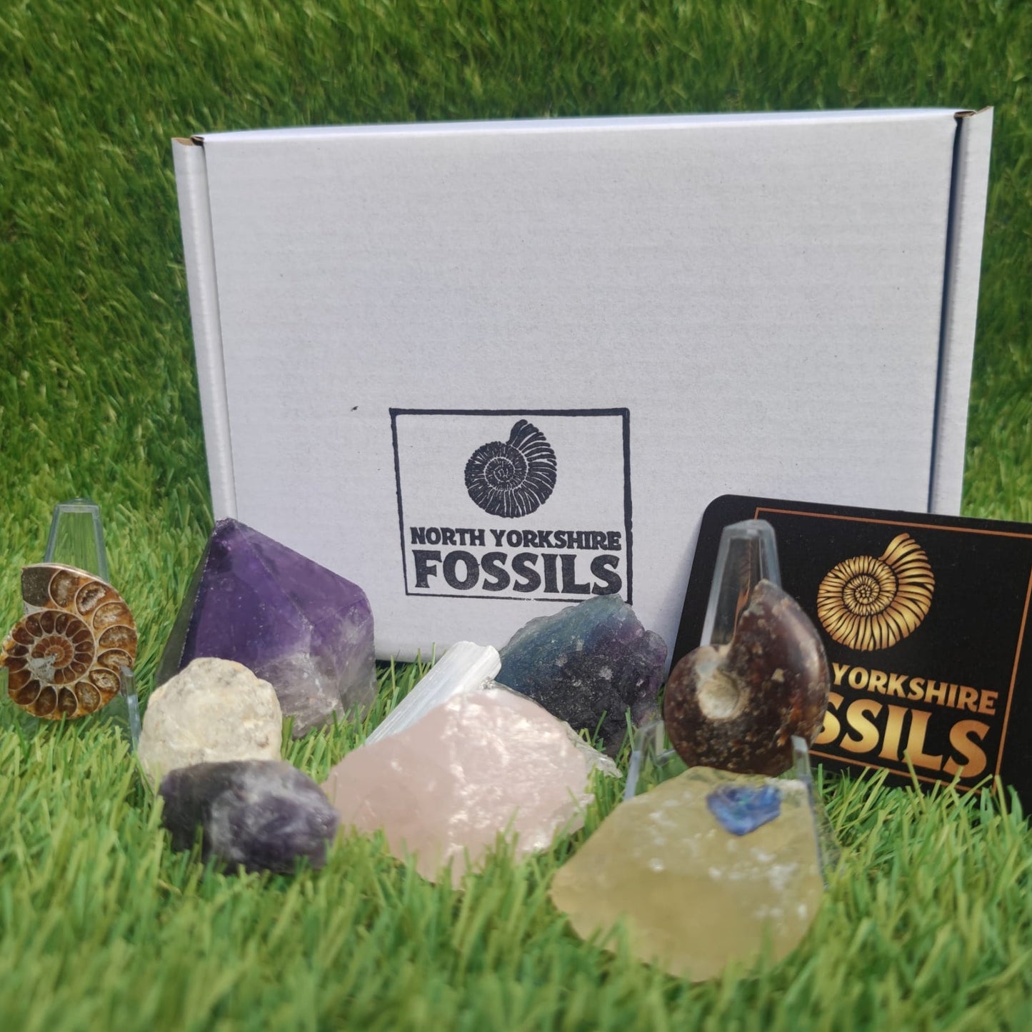 Super deluxe crystal and fossil gift box - North Yorkshire Fossils