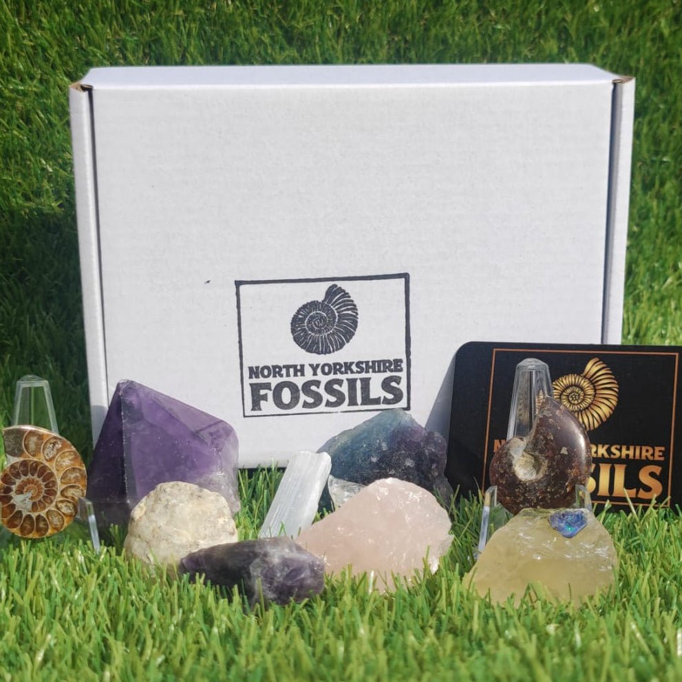 Super deluxe crystal and fossil gift box - North Yorkshire Fossils