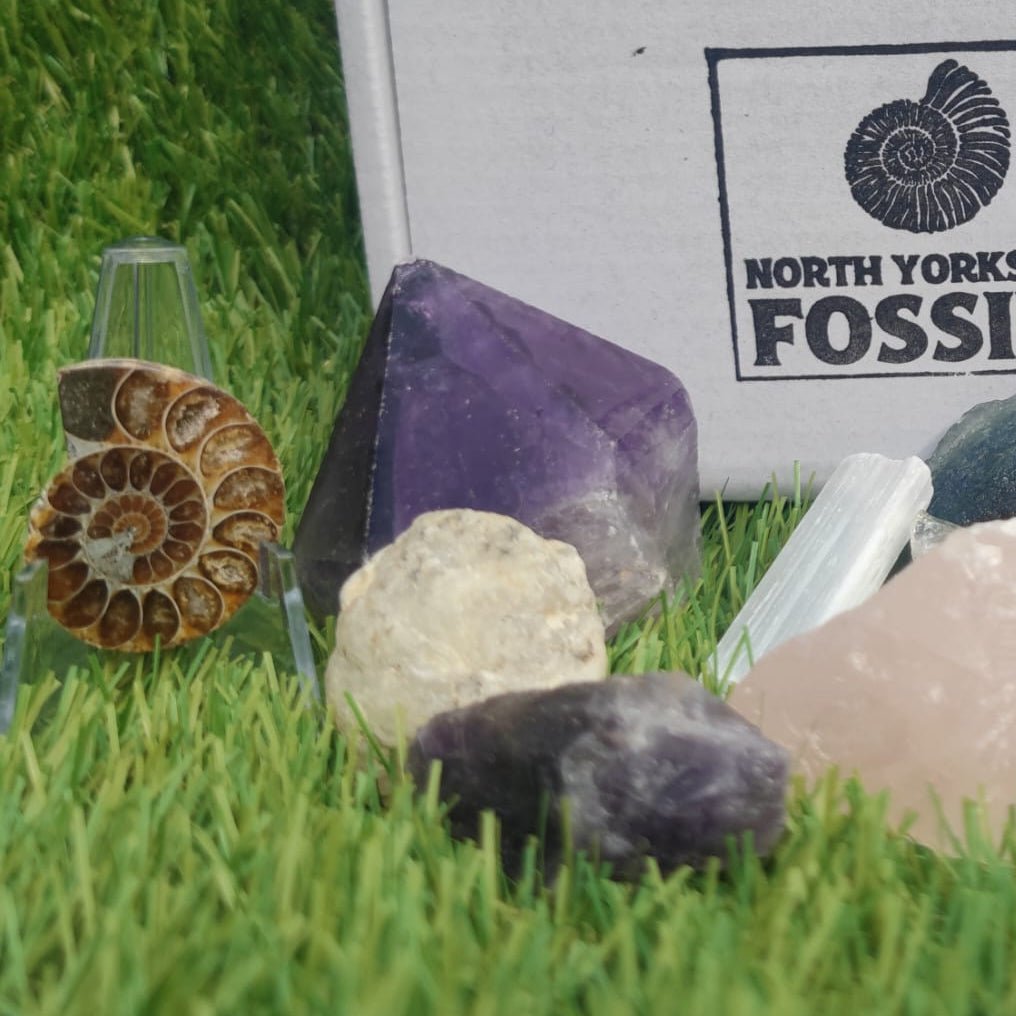 Super deluxe crystal and fossil gift box - North Yorkshire Fossils